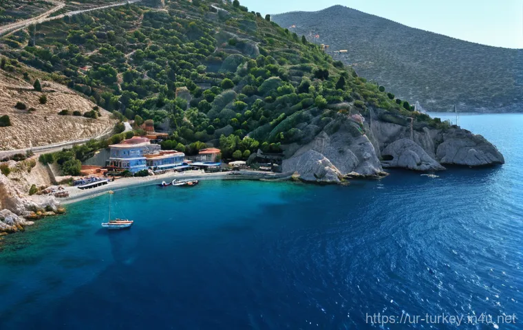 튀르키예의 해양 보호 정책 - Prompt 1: Serene Turkish Coastline with a Hint of Environmental Awareness**