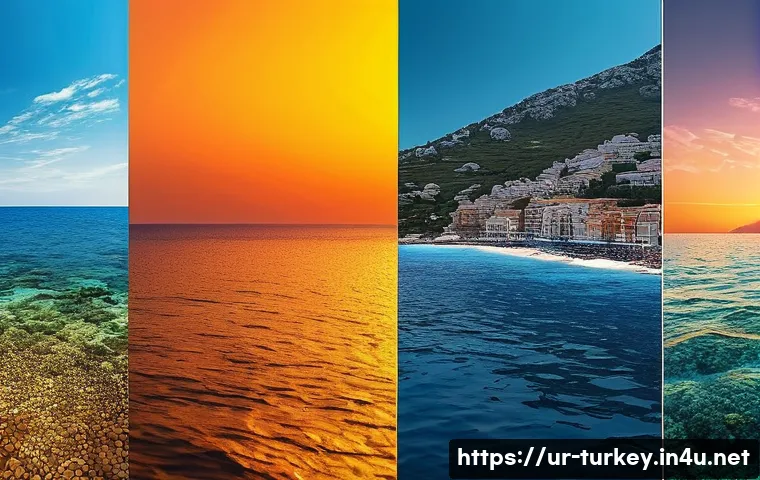 튀르키예의 해양 생물 보호 노력 - Here are three detailed image generation prompts in English, inspired by the marine conservation eff...