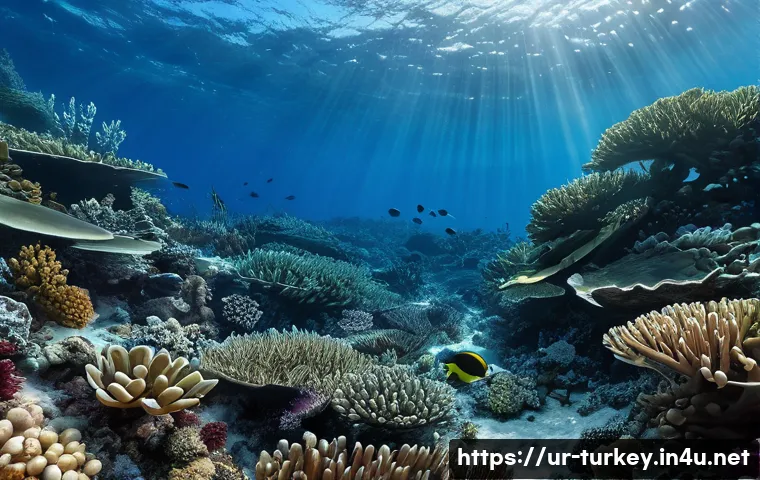 튀르키예의 해양 생물 보호 노력 관련 이미지 1