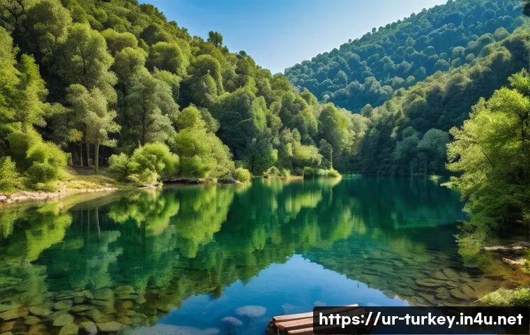 튀르키예 국립공원 탐방 - A serene and picturesque landscape of Yedigöller National Park in Turkey. Seven crystal-clear, calm ...